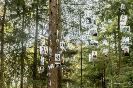 Zwart-foto’s van de jonge oorlogsslachtoffers
